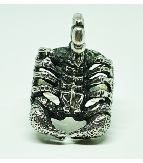 Anillo en plata de ley 925