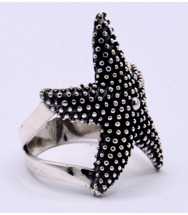 Anillo en plata de ley 925