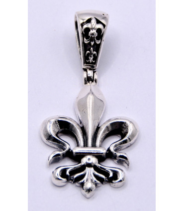 Colgante en plata de ley 925